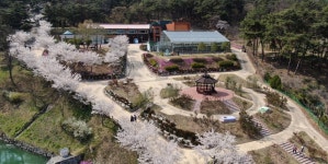 힐링의 공간 봉수산 자연 휴양림...예산군, 유아 등 숲 해설 프로그램 운영