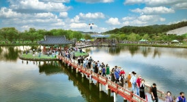 3년 만에 개최된 제20회 부여서동연꽃축제 대성황