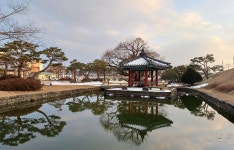 복지 사각지대 없는 군민이 안전한 홍성군 총력