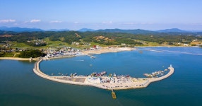 [포토뉴스] 설 명절, 충남 홍성군 서부면 남당항 새조개 축제 장으로~