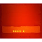 [갤러리] 동화가 된다는 것···상징화된 자연 이미지의 차수임 작가 전시회