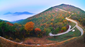 산림청, 충청권 대표 명품 숲길 예산군 백제부흥근길 3코스 추천