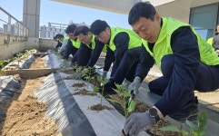 충남세종농협, 농심천심 NH하늘농장 조성