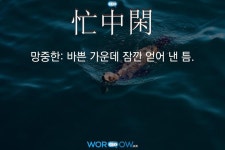 한자: 忙中閑 (망중한)     한자: 忙中閑 (망중한)