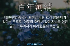한자: 百年河淸 (백년하청)     한자: 百年河淸 (백년하청)