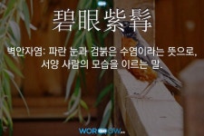 한자: 碧眼紫髥 (벽안자염)     한자: 碧眼紫髥 (벽안자염)