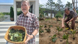 「忘れられたい」と語った文前大統領、インスタにプライベートなショットを連続投稿…「初収穫はサンチュ」＝韓国│韓国政治・外交... 