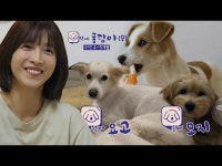 【公式sbe】 」三兄妹ママ」がチョフイ、門司×ヨゴレ×フォンダン最初の紹介♡ㅣビューティー・アンド・ザBEAST_ (beast)ㅣSBS... 