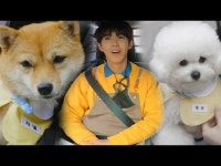 【公式sbe】 [先行公開】狂喜、ゲリンが先生に変身！犬ピックアップ現場★ㅣビューティー・アンド・ザBEAST_ (beast)ㅣSBS... 