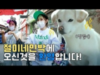 【t公式】MAMAMOO、[ #ソラ #ムンビョル] [チョルミの民宿] MAMAMOOソラ＆ムンビョルと... 