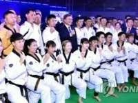 韓国テコンドー団　９月に平壌で演武＝五輪での合同公演も推進 | wowKorea（ワウコリア）