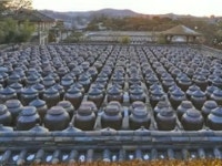 懐かしいかめつぼ並ぶ風景　越冬用キムチ漬けの季節 | wowKorea（ワウコリア）