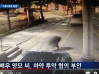 麻薬使用で奇行か… 飛び跳ねて道路飛び出した芸能人「ヤン」は誰？韓国で物議 | wowKorea（ワウコリア）