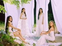 【全文】「MAMAMOO」フィイン、RBWと専属契約終了＝グループ活動は継続 | wowKorea（ワウコリア）