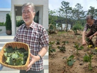 「忘れられたい」と語った文前大統領、インスタにプライベートなショットを連続投稿…「初収穫はサンチュ」＝韓国 | wowKorea... 