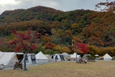캠핑장 상세 - 에코힐링관광 - 테마관광 - 관광지 - 문화관광 캠핑장 | 문화관광