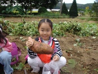 우수농장소개 상세 - 양주농업 - 농업기술센터