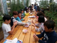 우수농장 상세 - 맛집 - 숙박/맛집 - 문화관광 우수농장 | 문화관광