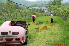 우수농장소개 상세 - 양주농업 - 농업기술센터