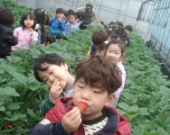 우수농장소개 상세 - 양주농업 - 농업기술센터