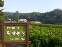 우수농장 상세 - 맛집 - 숙박/맛집 - 문화관광 우수농장 | 문화관광