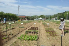 우수농장 목록 - 맛집 - 숙박/맛집 - 문화관광 우수농장 | 문화관광