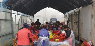 언론보도 언론보도 | 양주시청