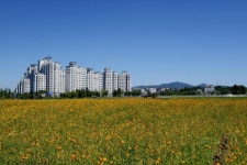 사진정보 목록 - 자료사진 - 사진DB