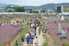 사진정보 목록 - 사진DB