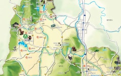 25사단 25사단 | 양주시청