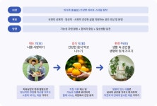 치유농업과 원예치료 | 도시농업 | 정보마당 | 홈페이지 양산시 - 소통과 공정 다시 뛰는 양산