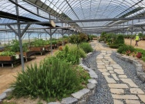 공영도시농업농장 | 주요시설 | 센터소개 | 홈페이지 양산시 - 소통과 공정 다시 뛰는 양산