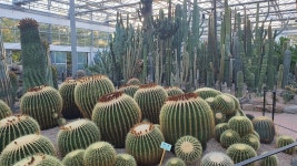 선인장 및 다육식물원 | 주요시설 | 센터소개 | 홈페이지 양산시 - 소통과 공정 다시 뛰는 양산