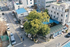 덕계동 | 양산의 동제와 당산나무 | 정보마당 | 홈페이지 양산시 - 소통과 공정 다시 뛰는 양산