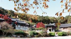 통도사 암자순례길 | 토닥토닥 치유힐링여행 | 테마가 있는 양산 | 여행·체험 | 양산체험 | 홈페이지 양산시 - 소통과 공정 다시 뛰는 양산