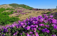 치유의 자연숲 | 토닥토닥 치유힐링여행 | 테마가 있는 양산 | 여행·체험 | 양산체험 | 홈페이지 양산시 - 소통과 공정 다시 뛰는 양산