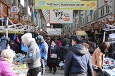 양양소식 목록 | 양양군청 > 양양군소개 > 홍보관 > 양양소식