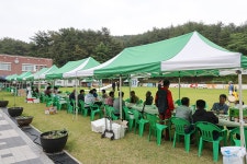 양양소식 목록 | 양양군청 > 양양군소개 > 홍보관 > 양양소식