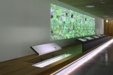 1층 | 유의기념관 | 전시·체험시설 | 시설별 이용안내 | 영천시 영천한의마을