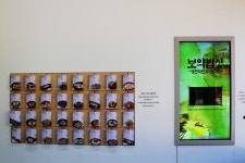한방테마거리 | 전시·체험시설 | 시설별 이용안내 | 영천시 영천한의마을