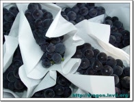 포도의 계절 - 마을이야기 -예천군 회룡포마을 회룡포정보화마을,예천군 회룡포정보화마을