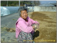 우리 마을 할머니 - 마을이야기 -예천군 회룡포마을 회룡포정보화마을,예천군 회룡포정보화마을
