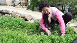 선물을 받았어요! - 마을이야기 -예천군 국사골마을 국사골정보화마을,예천군 국사골정보화마을