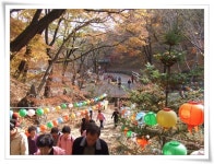 용문사 성보유물관 낙성식및 가을 산사음악회 보러 가는 중입니다. - 마을이야기 -예천군 금당실마을 금당실정보화마을,예천군 금당실정보화마을