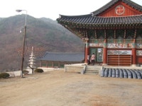 동지날 이른아침 용문사!!! - 마을이야기 -예천군 금당실마을 금당실정보화마을,예천군 금당실정보화마을