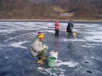 겨울 빙어 낚시 - 마을이야기 -예천군 금당실마을 금당실정보화마을,예천군 금당실정보화마을