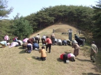 오늘 용문 안동권씨 종친회 동해안으로 다녀.... - 마을이야기 -예천군 금당실마을 금당실정보화마을,예천군 금당실정보화마을