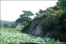 병암정의 연(蓮) - 마을이야기 -예천군 금당실마을 금당실정보화마을,예천군 금당실정보화마을