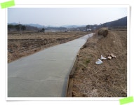 덕신리 마골 농로포장사업 - 마을이야기 -예천군 금당실마을 금당실정보화마을,예천군 금당실정보화마을