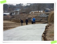 덕신리 마골 농로포장사업 - 마을이야기 -예천군 금당실마을 금당실정보화마을,예천군 금당실정보화마을
